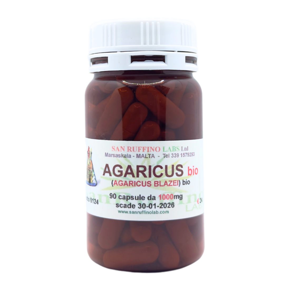 AGARICUS