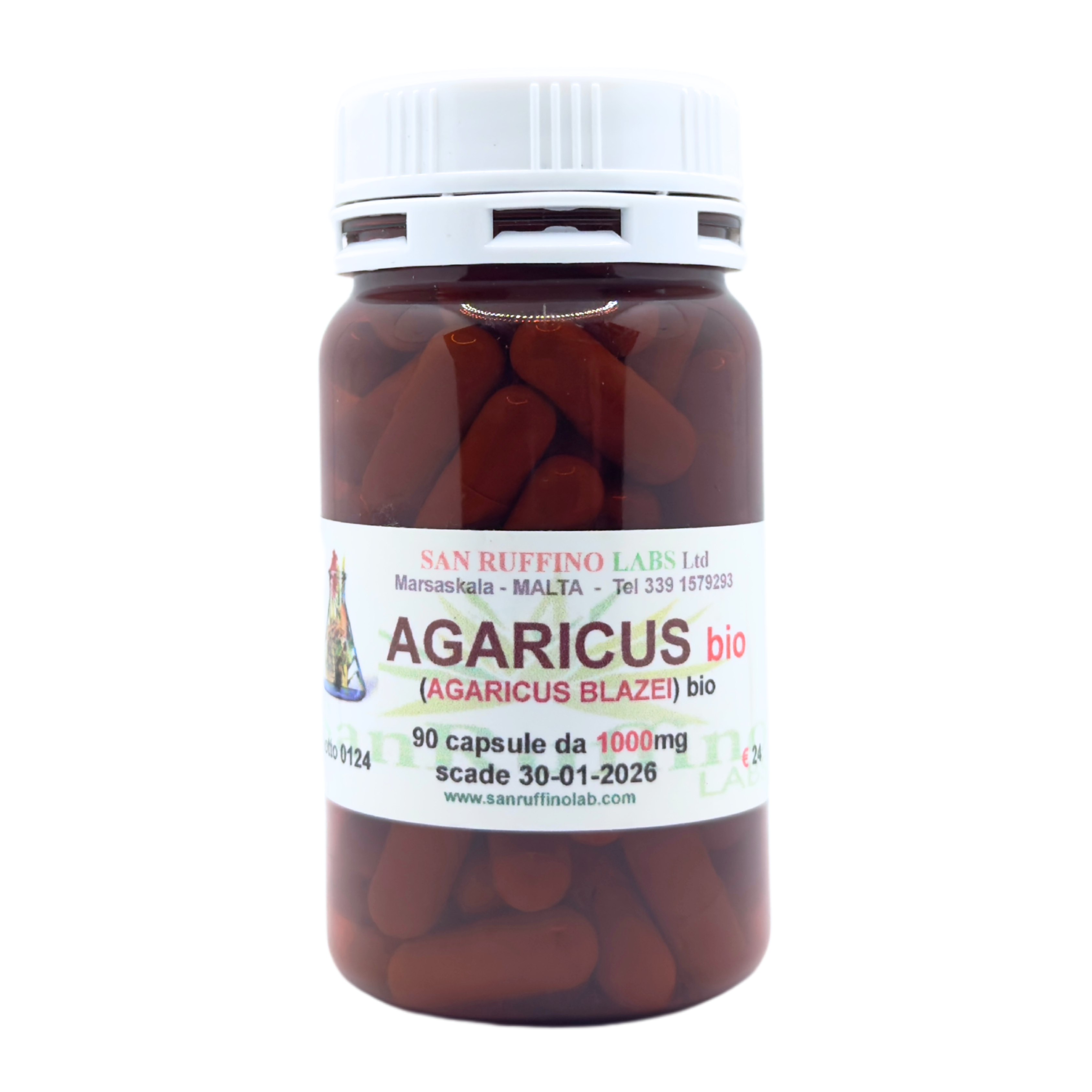 AGARICUS